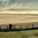 Mein Weg ©Happy Entertainment WEB.jpg