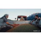 TiAN ©taktfilm.com WEB.jpg